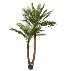 Yapay Palmiye Ağacı Gerçek Dokulu 2 Gövdeli Yeşil 210 Cm.