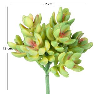 Yapay Bitki Sukulent yeşil 12 Cm.