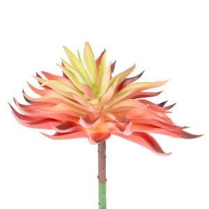 Yapay Kaktüs Sukulent Kırmızı 14 Cm