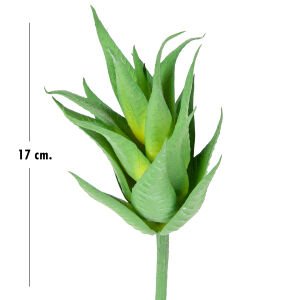 Yapay Kaktüs Sukulent Yeşil 17 Cm