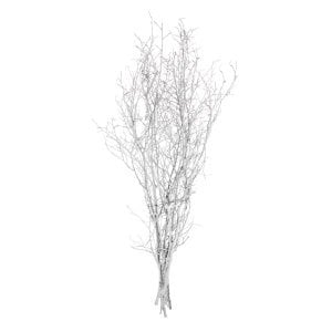 Kuru Bitki Beyaz Gürgen Dalı 60 - 80 Cm