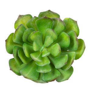 Yapay Kaktüs Sukulent Yeşil 14 Cm