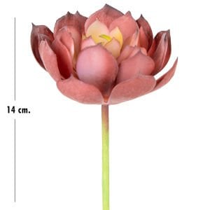 Yapay Kaktüs Sukulent Kırmızı 14 Cm