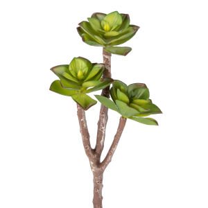 Yapay Kaktüs Sukulent Kırmızı-Yeşil 35 Cm.