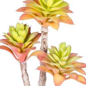 Yapay Kaktüs Sukulent Kırmızı/Yeşil 35 Cm