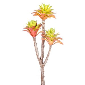 Yapay Kaktüs Sukulent Kırmızı/Yeşil 35 Cm