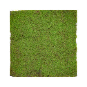 Yapay Yosun Duvar Dekoru, Tabaka, Açık Yeşil - 100x100 cm