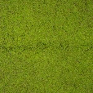 Yapay Yosun Duvar Dekoru Tabaka Açık Yeşil 100X100 Cm.