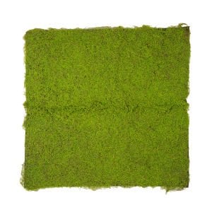 Yapay Yosun Duvar Dekoru Tabaka Açık Yeşil 100X100 Cm.