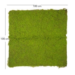 Yapay Yosun Duvar Dekoru Tabaka Açık Yeşil 100X100 Cm.