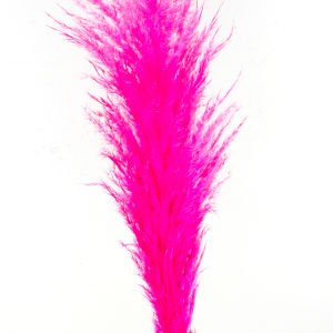 Kuru Bitki Pampas Pembe
