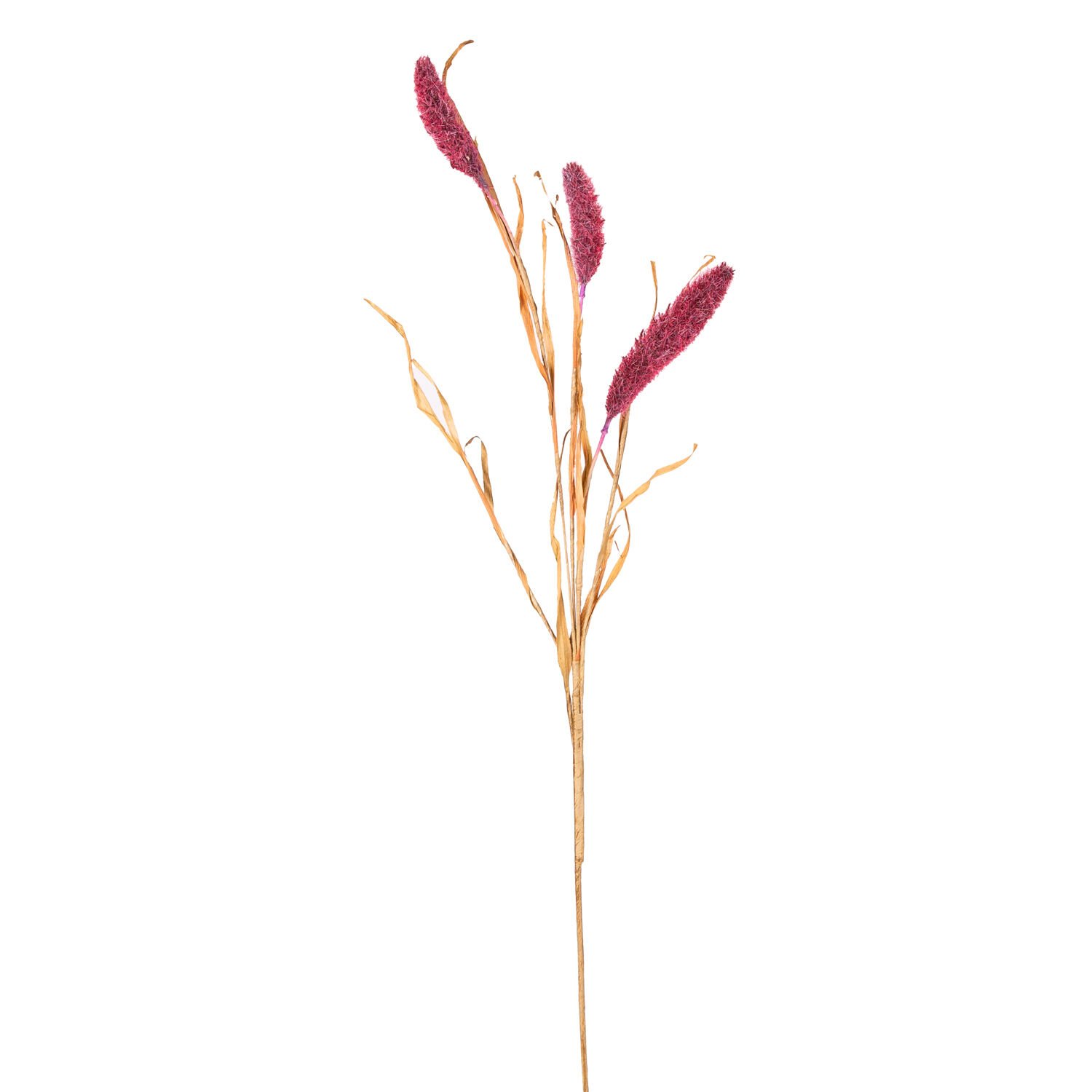 Yapay Bitki Setaria Pamuk (Kirpi Darı) Kızıl 90 Cm.