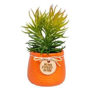 Seramik Turuncu Saksıda Sukulent Aranjmanı Yeşil 11x19 Cm.