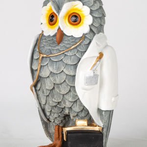 Biblo Beyaz Önlüklü Doktor Baykuş Gri 17x33x14 Cm.