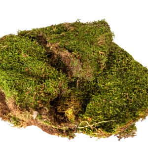Kuru Bitki Yosun - Paket 200 gr