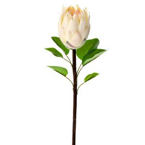 Yapay Kral Protea Dalı Krem 67 Cm.