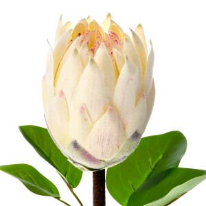 Yapay Kral Protea Dalı Krem 67 Cm.
