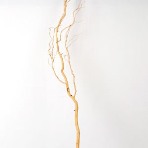 Doğal Salex Dalı Soyulmuş ± 200 Cm.