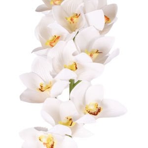 Yapay Orkide Gerçek Dokunuş Beyaz-Sarı 75 Cm.