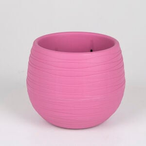 Sahra Saksı, Fuşya - No:5, 1,3 Litre, 15 cm