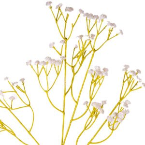 Yapay Çiçek, Cipso Gypso, Beyaz - 63 cm