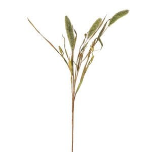 Yapay Bitki Setaria Pamuk (Kirpi Darı) Yeşil 90 Cm.