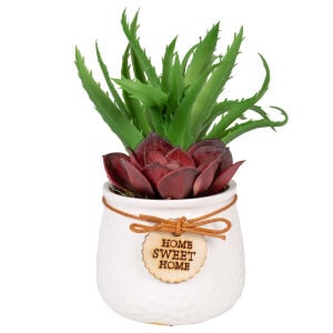 Seramik Beyaz Saksıda Sukulent Aranjmanı Bordo-Yeşil 13x17 Cm.