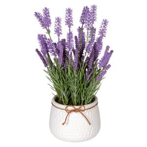Seramik Beyaz Saksıda Lavanta Aranjmanı Açık Mor 21x34 Cm.
