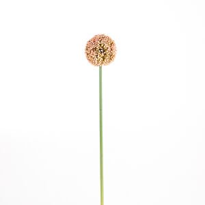Yapay Soğan çiçeği Pembe 6 x 57 Cm.