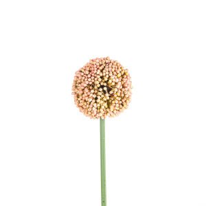 Yapay Soğan çiçeği Pembe 6 x 57 Cm.