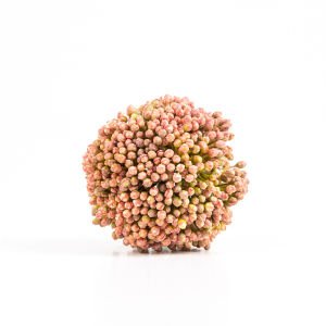 Yapay Soğan çiçeği Pembe 6 x 57 Cm.