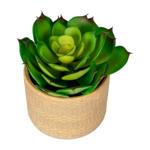 Seramik Saksıda Sukulent Aranjmanı Yeşil 13x13 Cm.