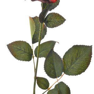Yapay Çiçek Gül Dalı Kırmızı 71 Cm.
