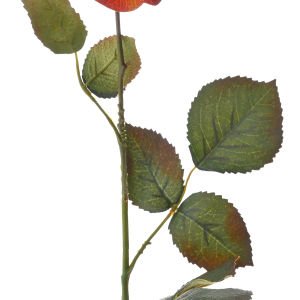 Yapay Çiçek Gül Dalı Turuncu 71 Cm.