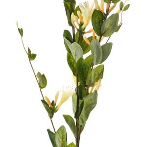 Yapay Çiçek Hanımeli Krem-Yeşil 110 Cm.