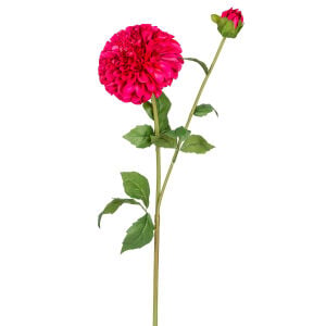 Yapay Yıldız Çiçeği Pompon Dahlia Islak Dokulu Fuşya 16x60 Cm.