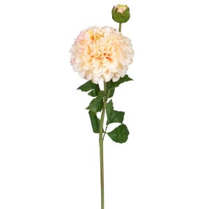 Yapay Yıldız Çiçeği Pompon Dahlia Islak Dokulu Pembe-Krem 16x60 Cm.