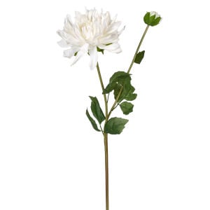 Yapay Yıldız Çiçeği Dahlia Islak Dokulu Beyaz 18x60 Cm.