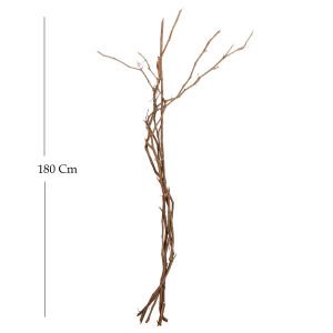 Asma Gövdesi 5 li Bağ İnce 170-180 Cm.