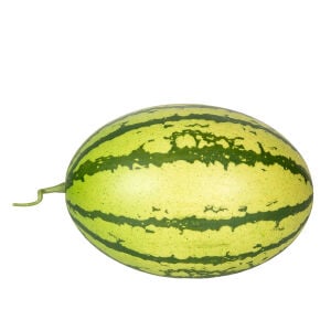 Yapay Karpuz Yeşil 30x18 Cm.