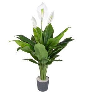 Yapay Bitki, Spathiphyllum-Yelken Çiçeği, Gerçek Dokulu, Yeşil-Beyaz - 100 cm