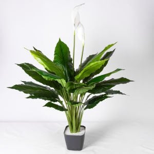 Yapay Bitki, Spathiphyllum-Yelken Çiçeği, Gerçek Dokulu, Yeşil-Beyaz - 100 cm