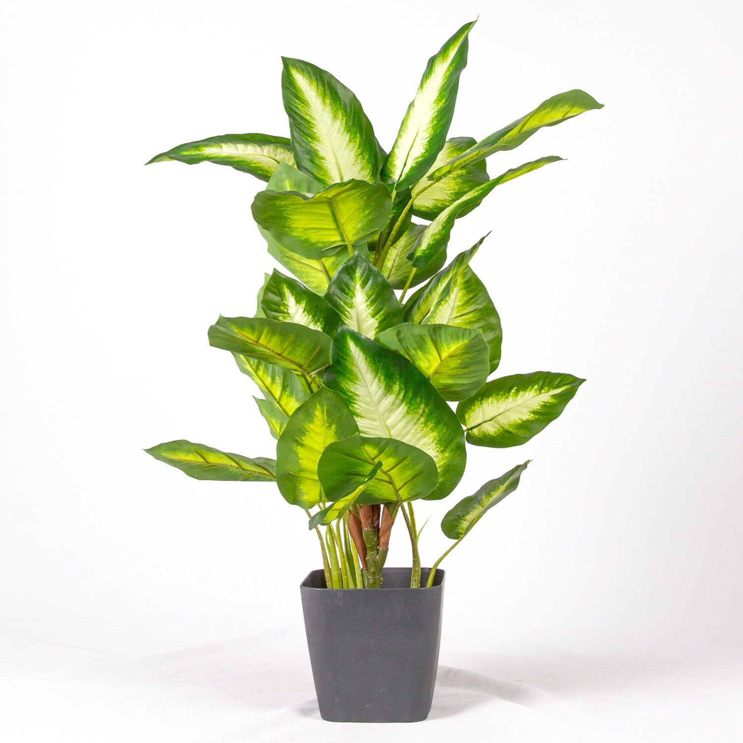Saksıda Yapay Bitki Rohdea Japonica Gerçek Dokulu 32 Yaprak Yeşil-Beyaz 70 Cm.