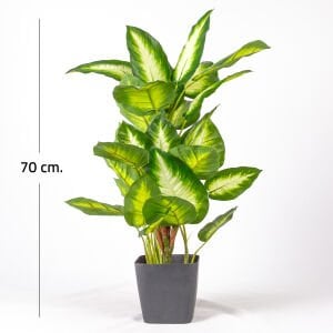 Saksıda Yapay Bitki, Rohdea Japonica, Gerçek Dokulu, Yeşil-Beyaz - 32 Yaprak, 70 cm