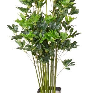 Yapay Ağaç, Şeflara, Gerçek Dokulu, Yeşil - 150 cm