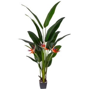 Yapay Ağaç Starliçe, Gerçek Dokulu, Yeşil - 15 Yaprak, 3 Çiçekli, 210 cm