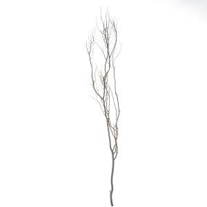Kuru Bitki Beyaz Gürgen Dalı - Tanzim Dalı 190 - 200 Cm.