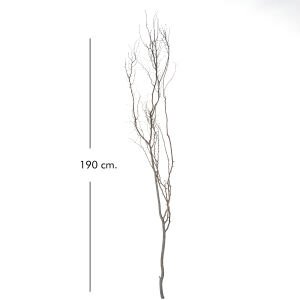Kuru Bitki Beyaz Gürgen Dalı - Tanzim Dalı 190 - 200 Cm.