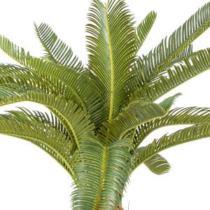 Yapay Çikas - Cykas Ağacı 25 Yapraklı Yeşil 72 Cm.