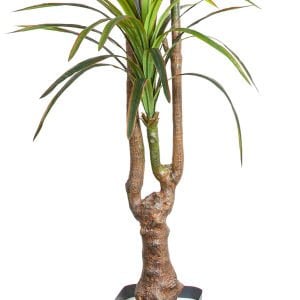 Yapay Dracena Ağacı Gerçek Dokulu 3 Dallı Yeşil 200 Cm.